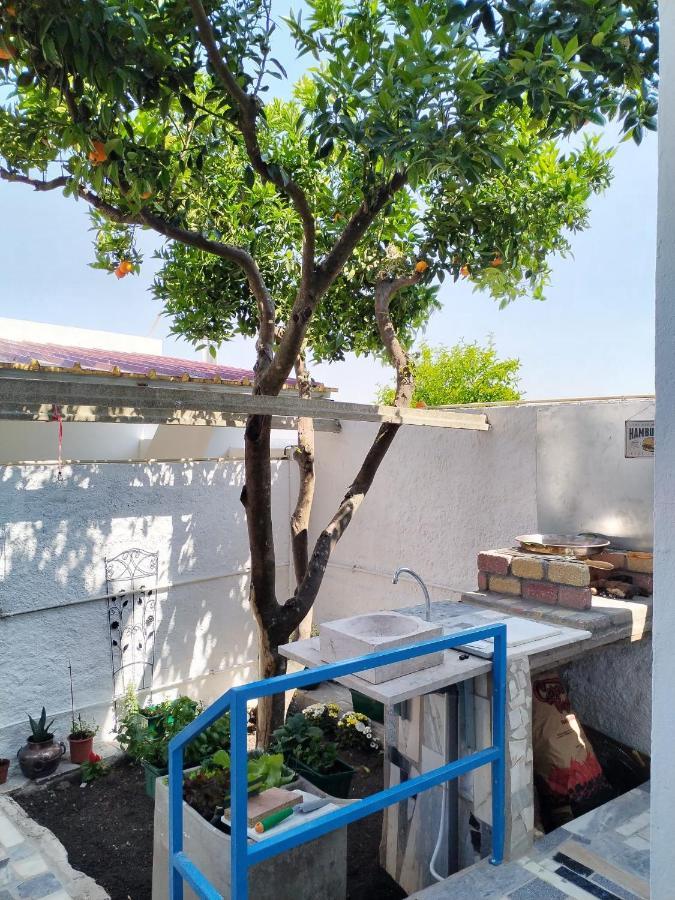 Casa Da Laranjeira *